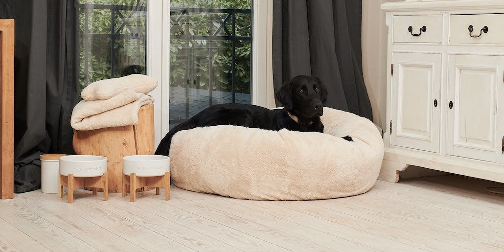 High-quality and cozy dog beds, dog blankets and dog mats