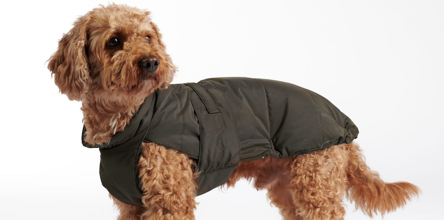 Hundemantel