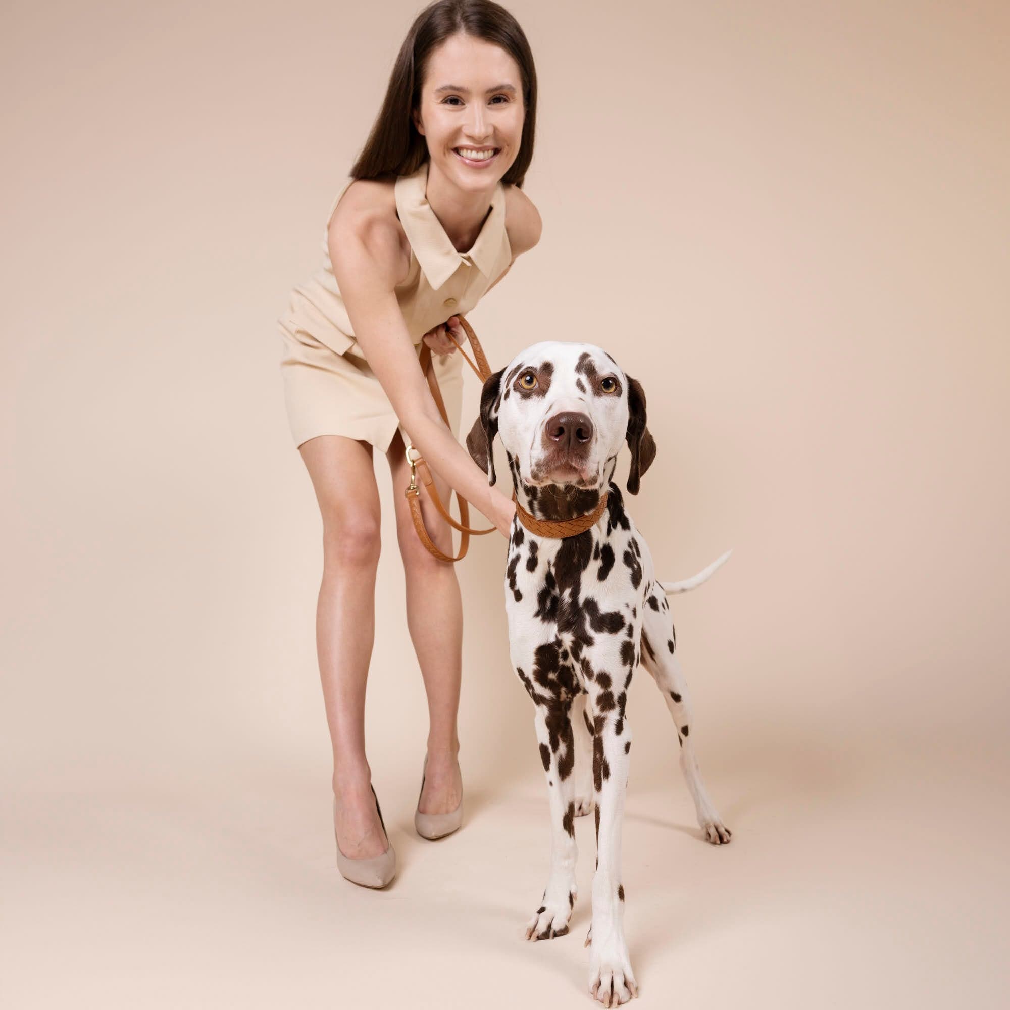 William Walker Leder Hundehalsband Prestige Caramel