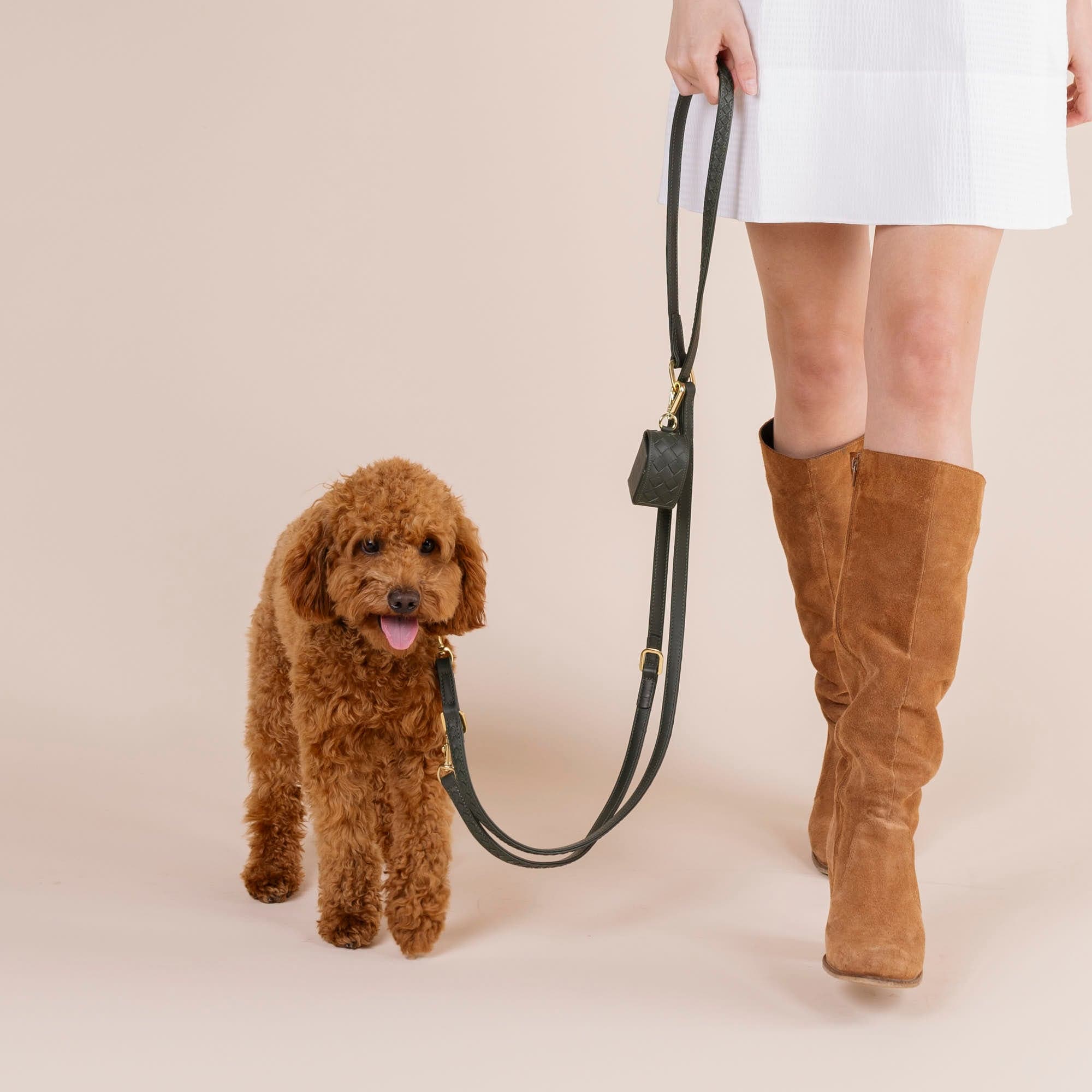 William Walker Hochwertige Leder Hundeleine Prestige Forest (Waldgrün)