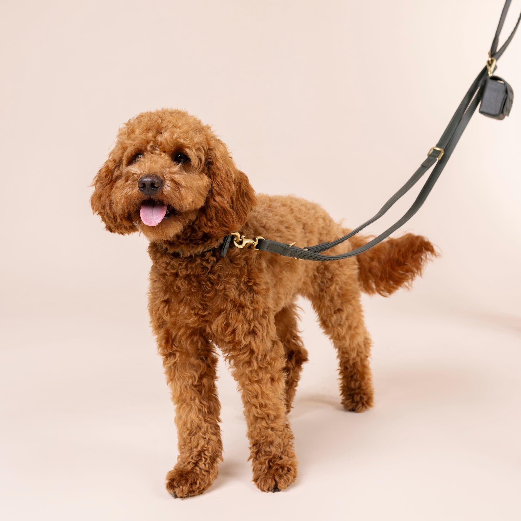 William Walker Kotbeutelspender Prestige Forest (Waldgrün)