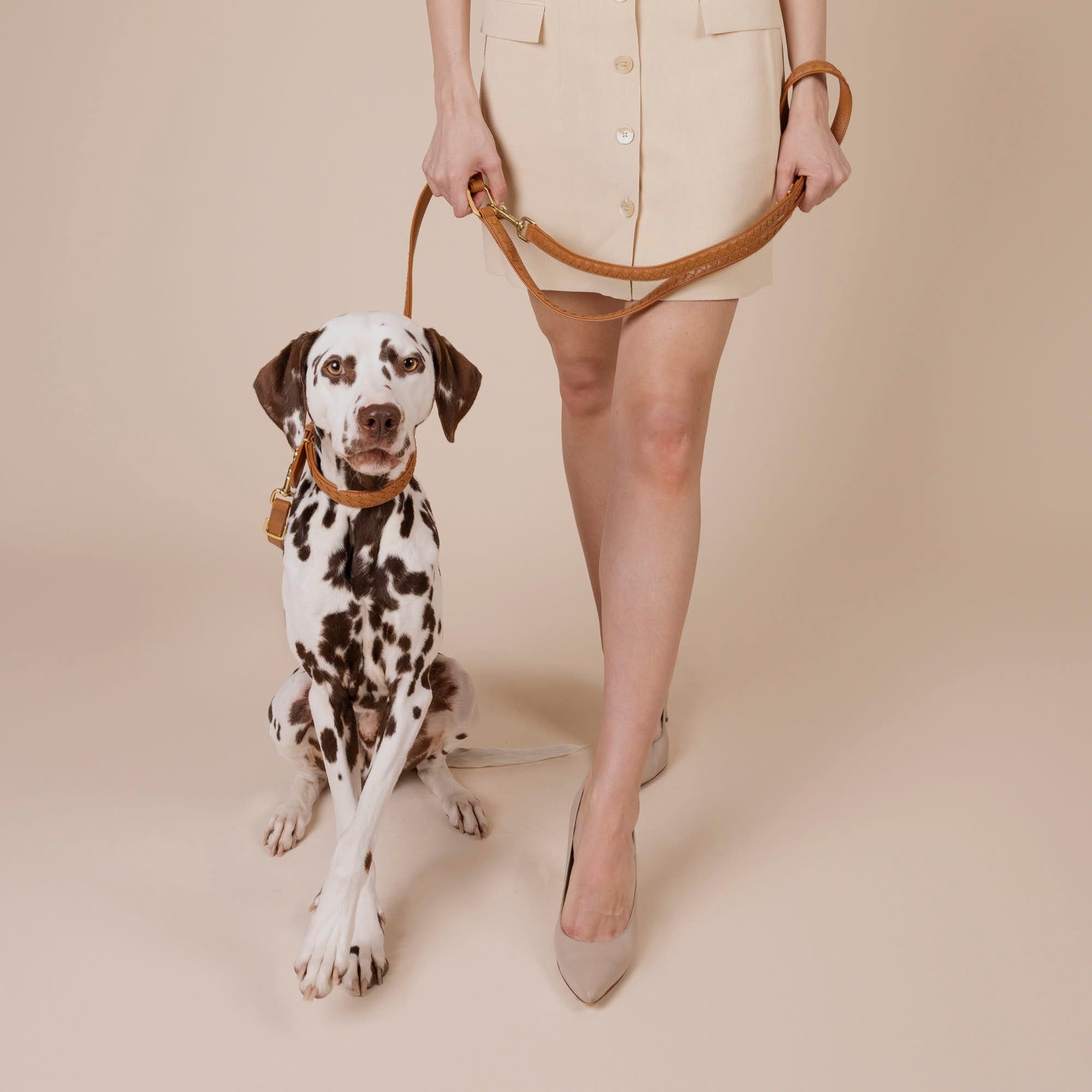 William Walker Hochwertige Leder Hundeleine Prestige Caramel