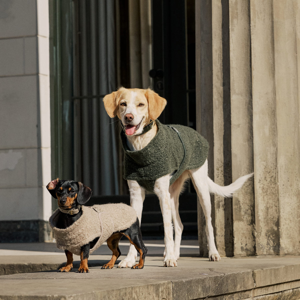William Walker Cappottino in pile per cani Cozy per bassotti
