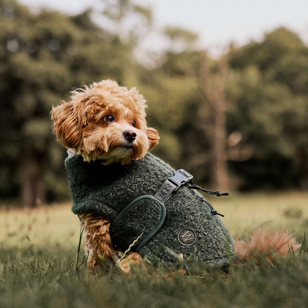 William Walker Cosy fleece dog coat Cozy