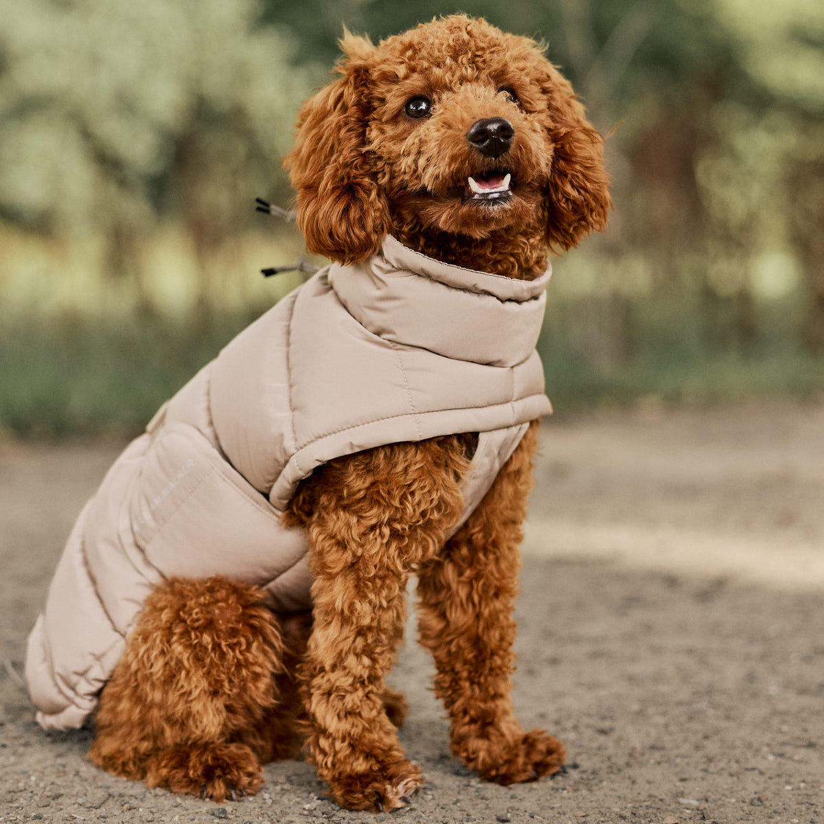 William Walker Abrigo de invierno cálido para perro Alpine