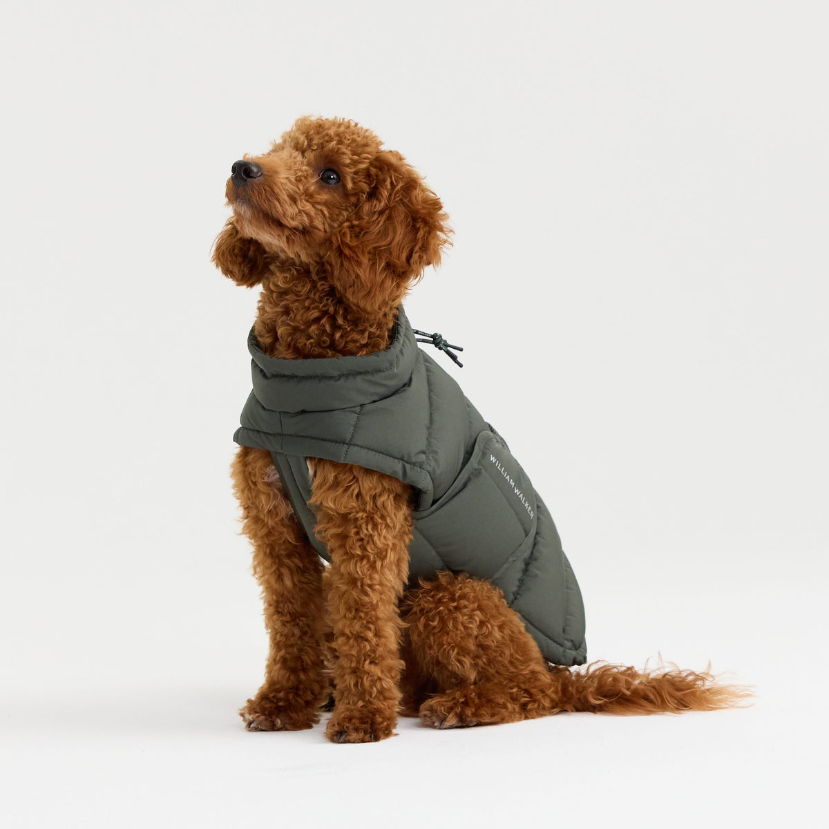 William Walker Abrigo de invierno cálido para perro Alpine