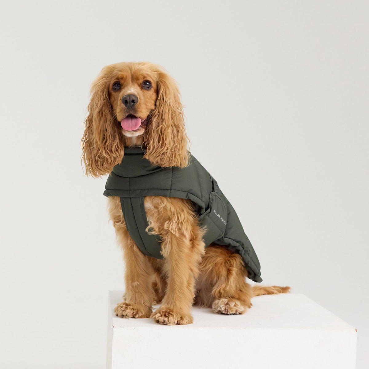 William Walker Abrigo de invierno cálido para perro Alpine