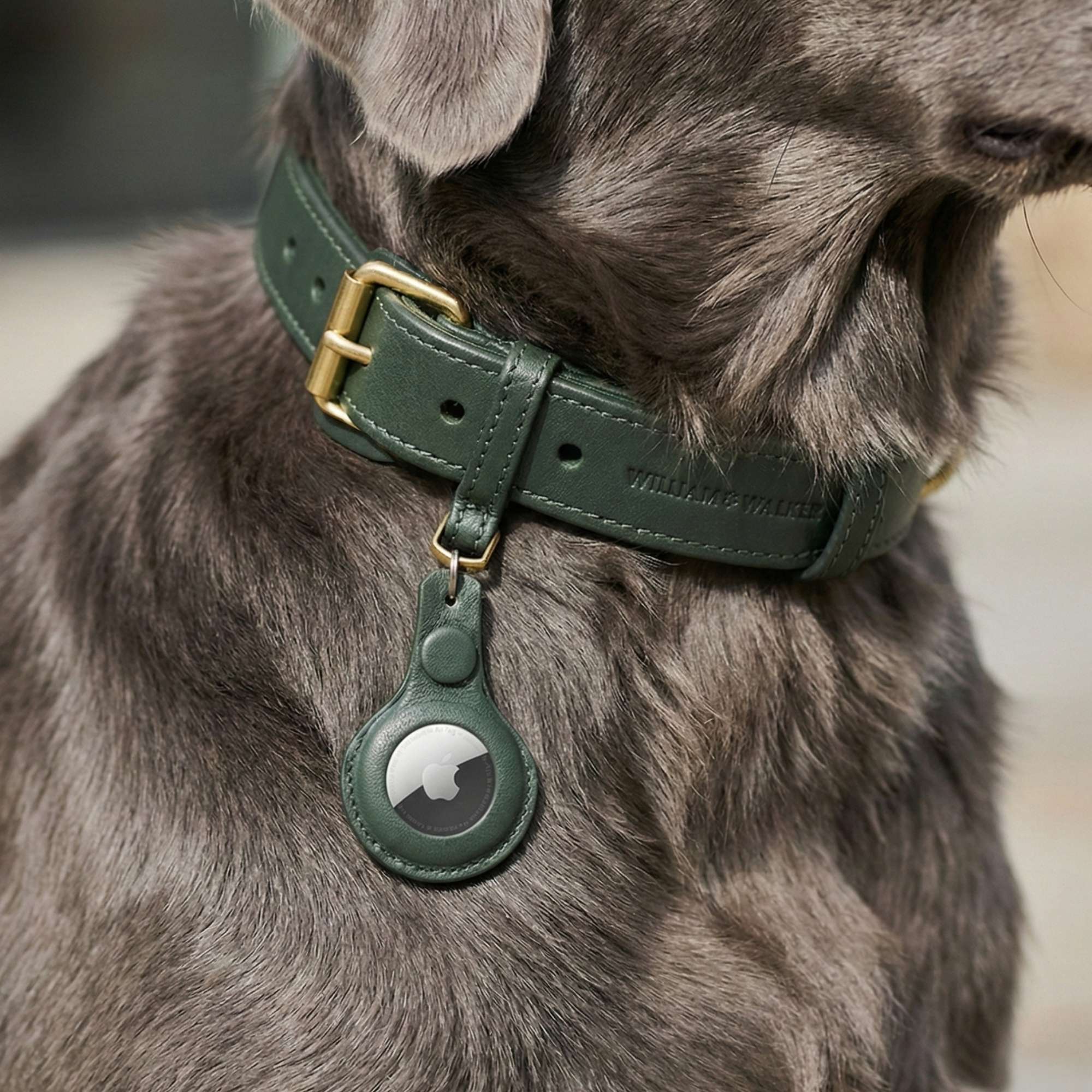 William Walker Leder AirTag Anhänger für Hundehalsband & Schlüssel