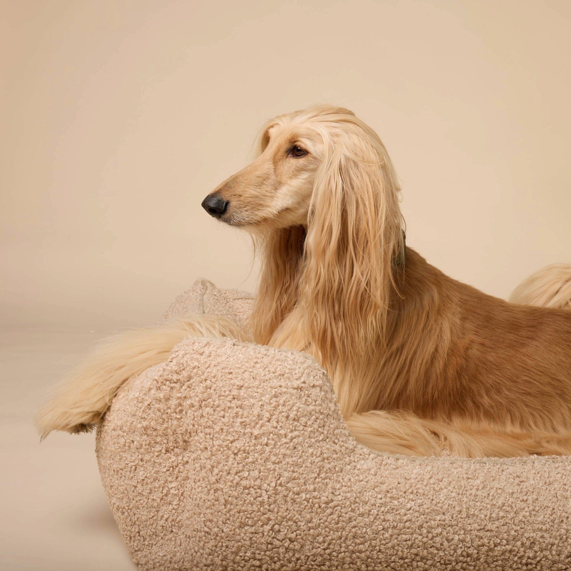 William Walker Orthopädisches Hundebett Cozy