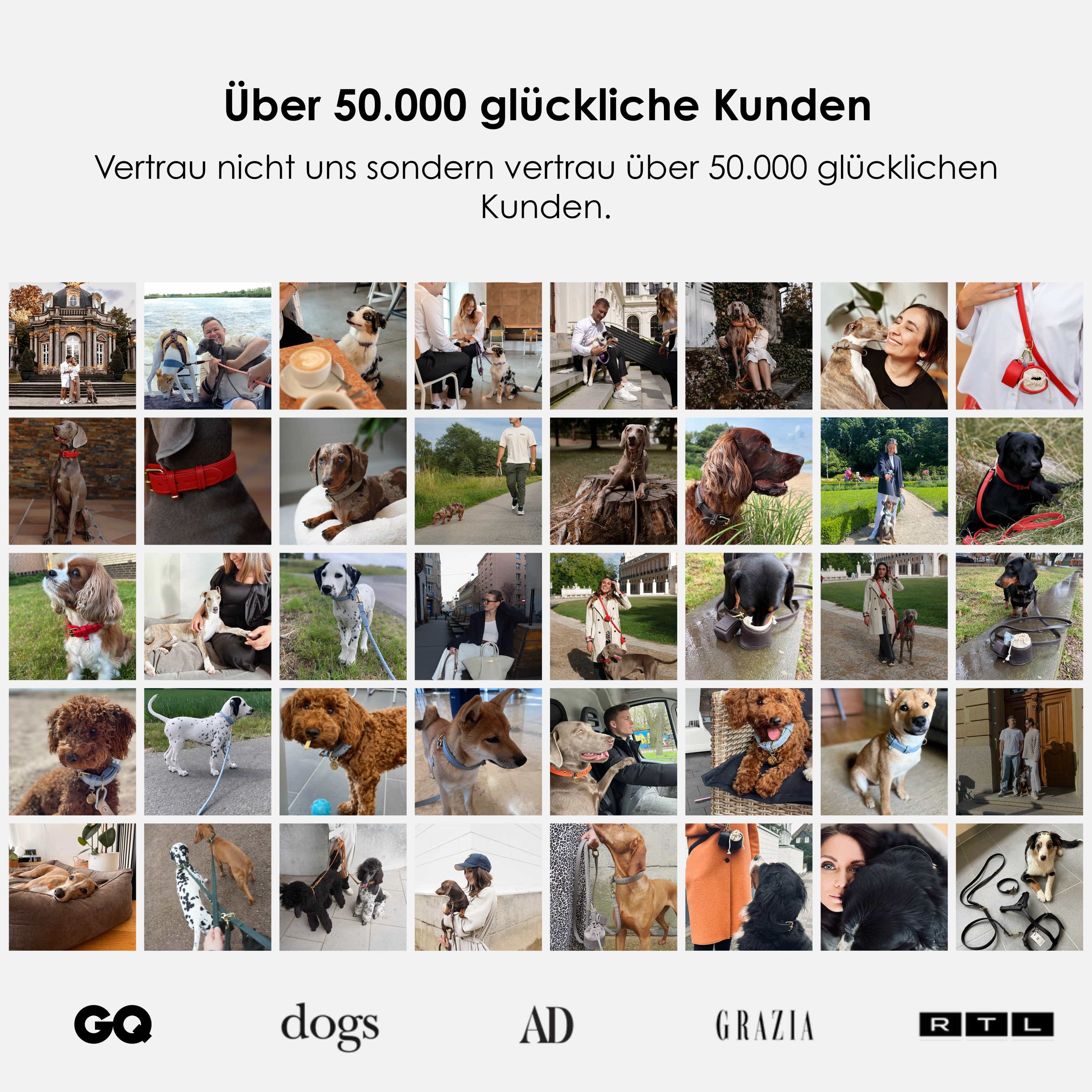 William Walker Hundehalsband aus wasserfestem Nubukleder