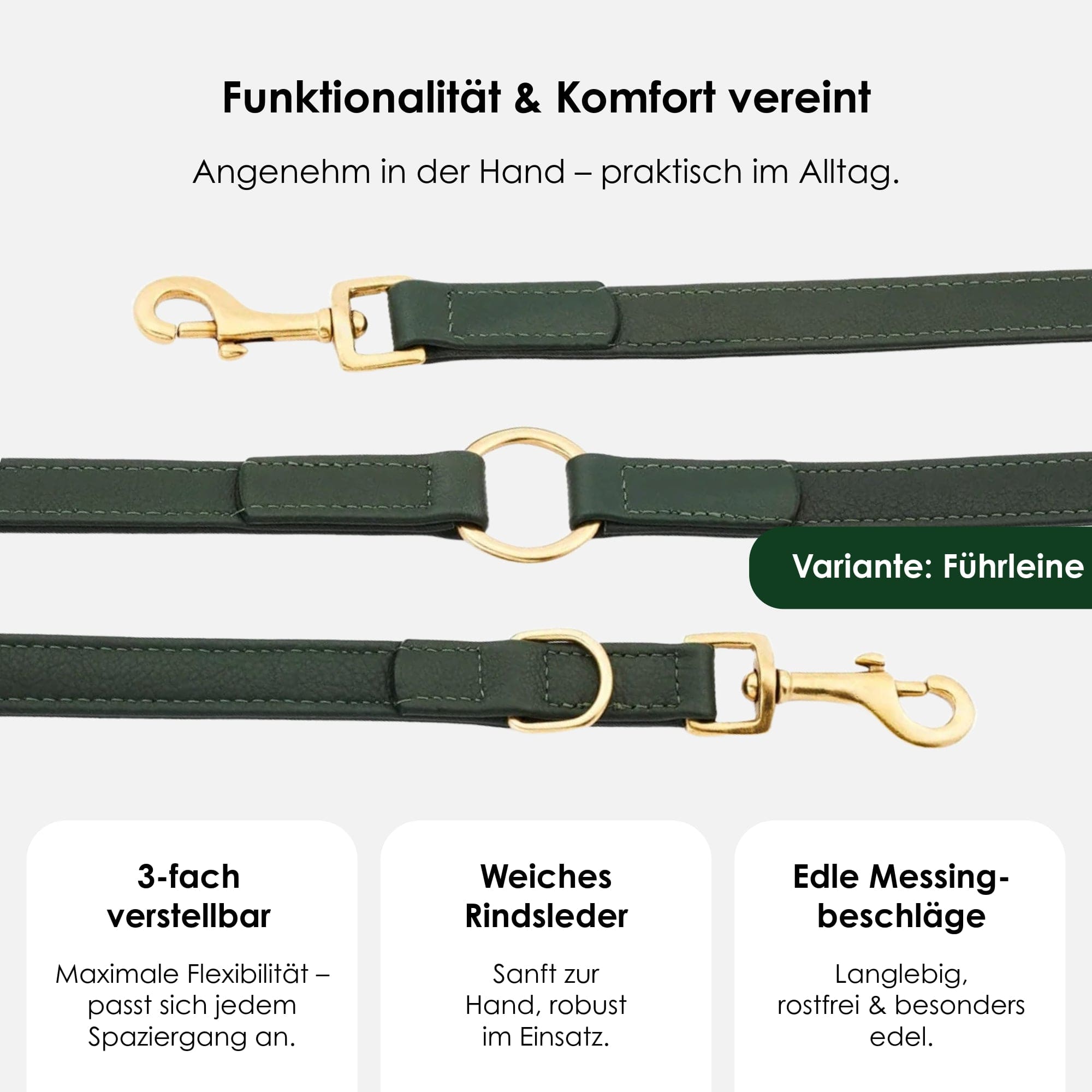 William Walker Hochwertige Leder Hundeleine Dark Moss (Waldgrün)