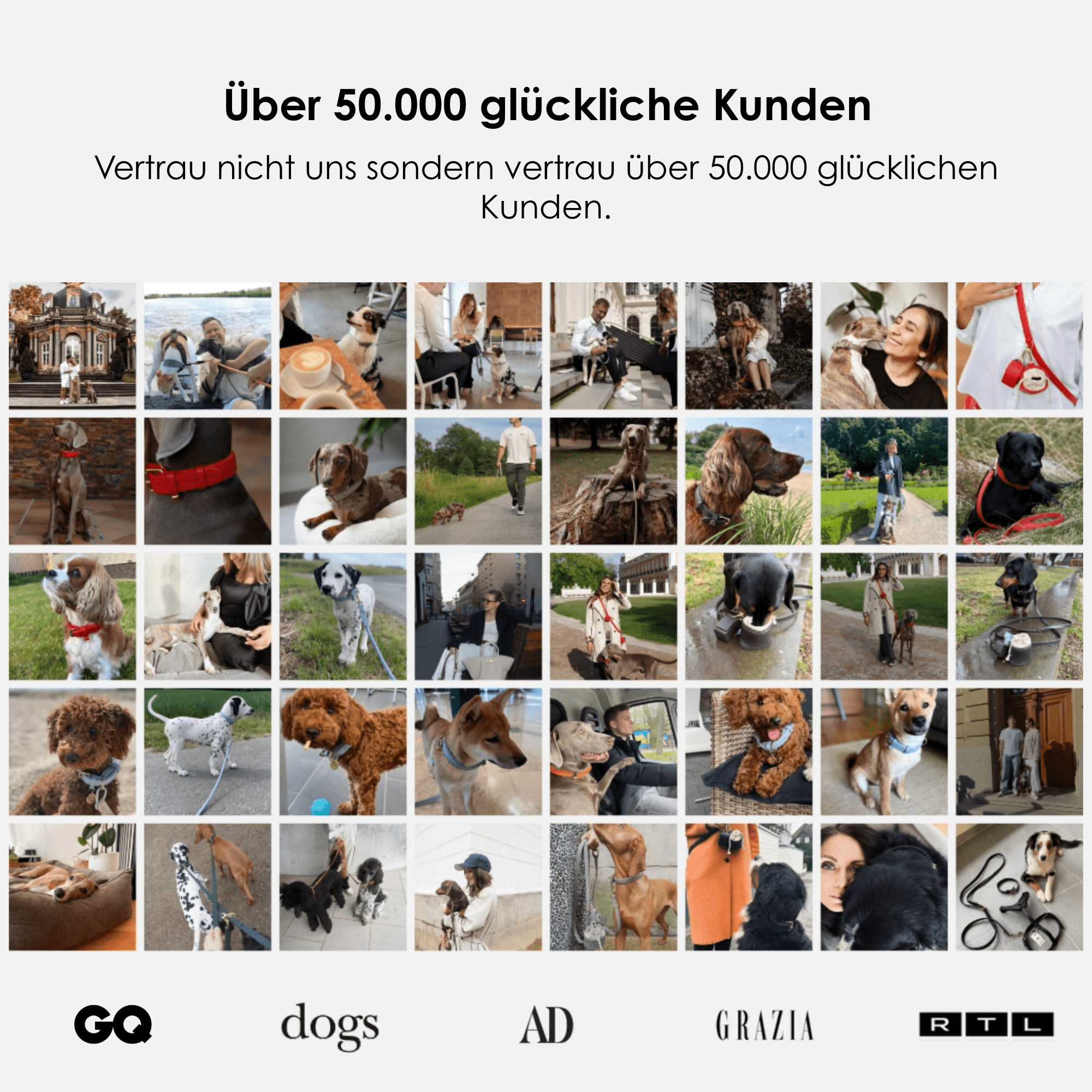 William Walker Hochwertige Leder Hundeleine Noir (Schwarz)