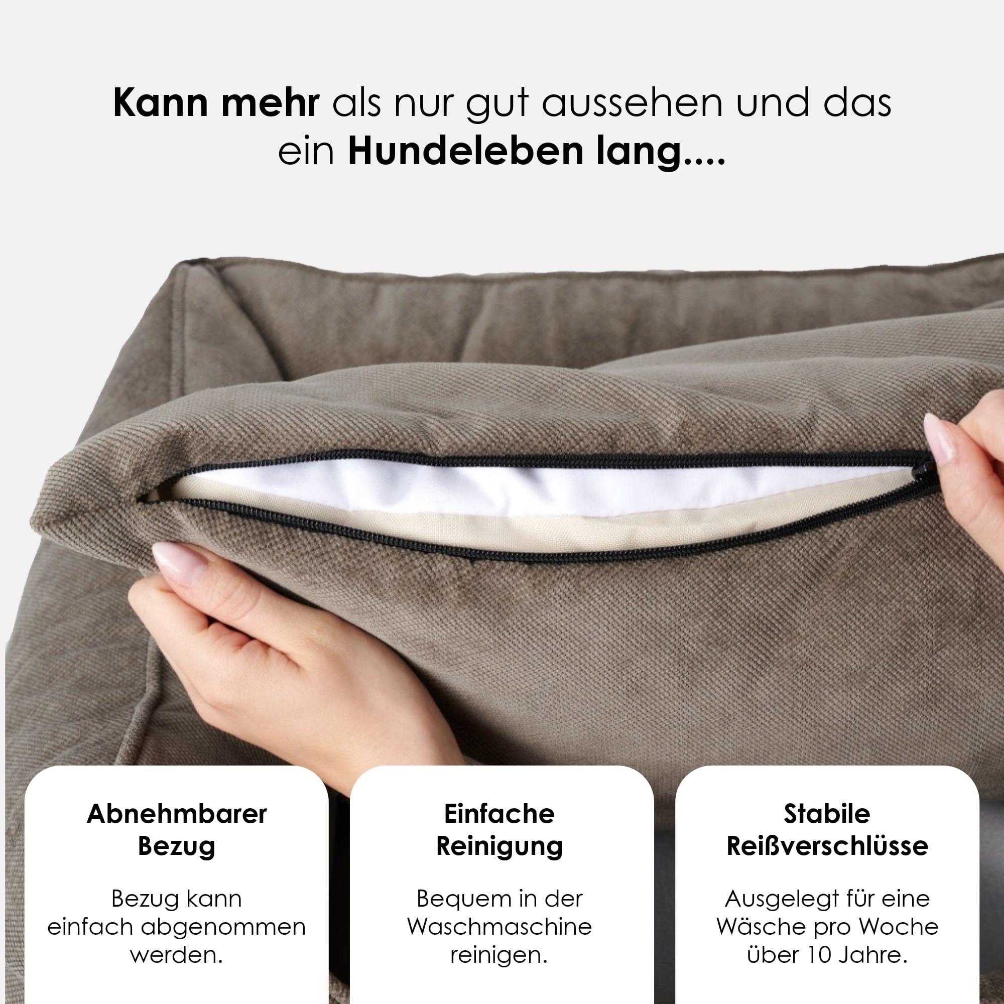 William Walker Orthopädisches Hundebett Stone