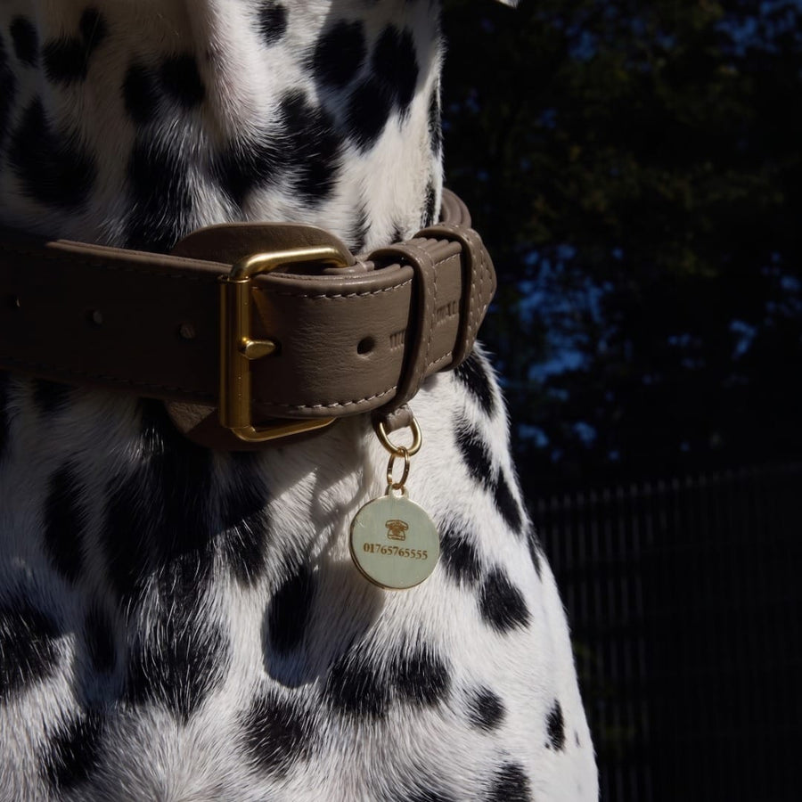 Personalisierbare runde Messing-Hundemarke