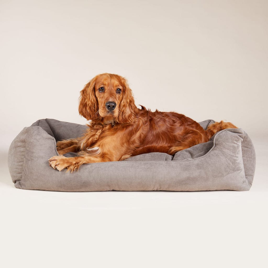 William Walker Sleep Bundle