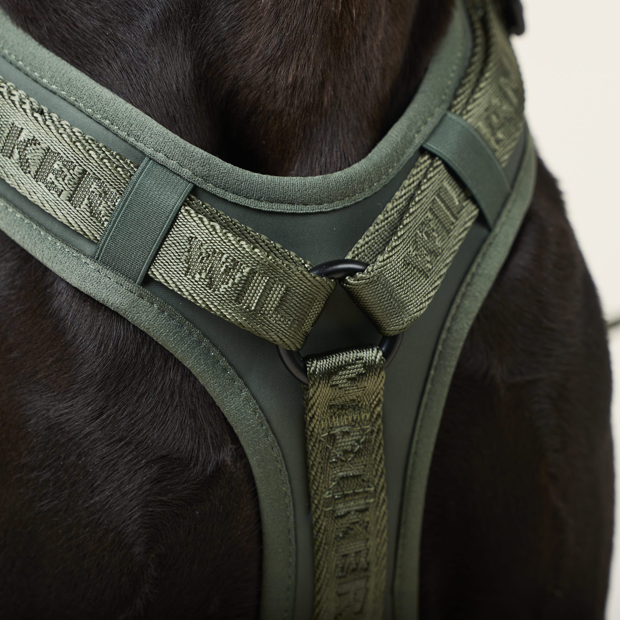 William Walker Hochwertiges Y-Hundegeschirr Forest (grün)