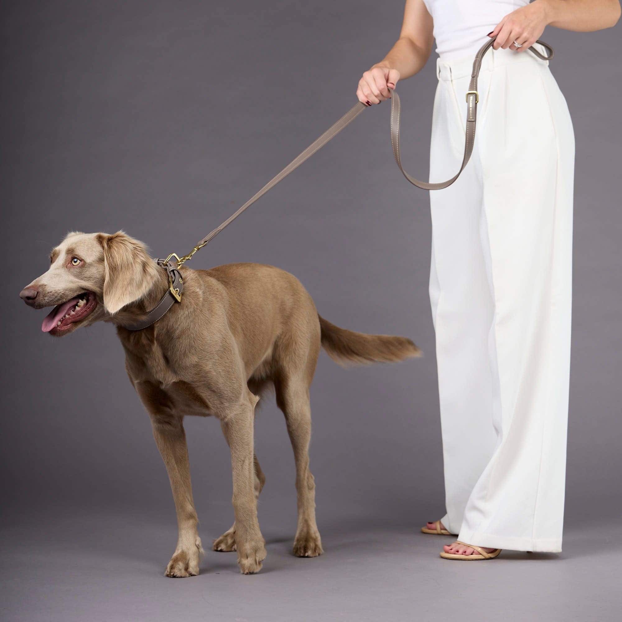 William Walker Glattleder Hundehalsband Pebble (Taupe)