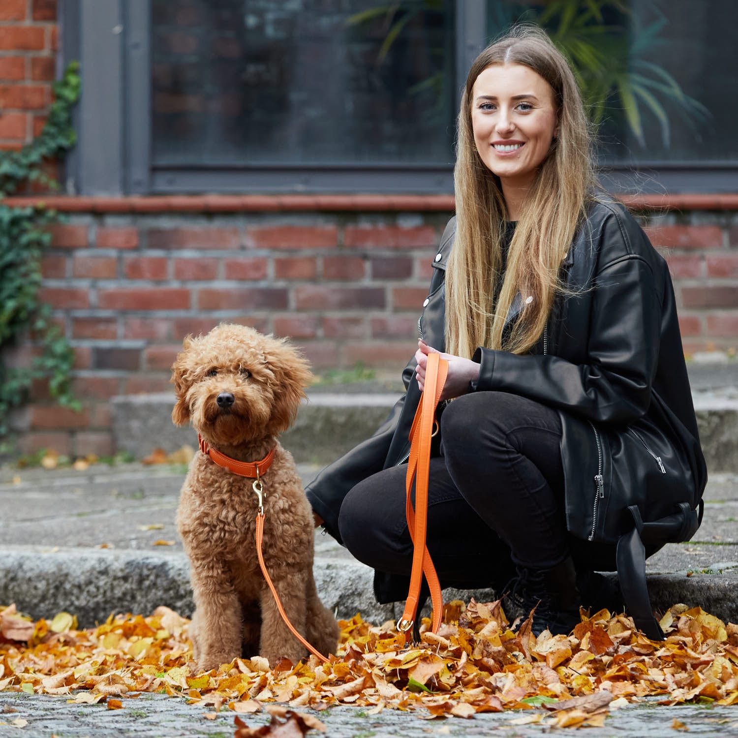 William Walker Hochwertige Leder Hundeleine Amber (Orange)