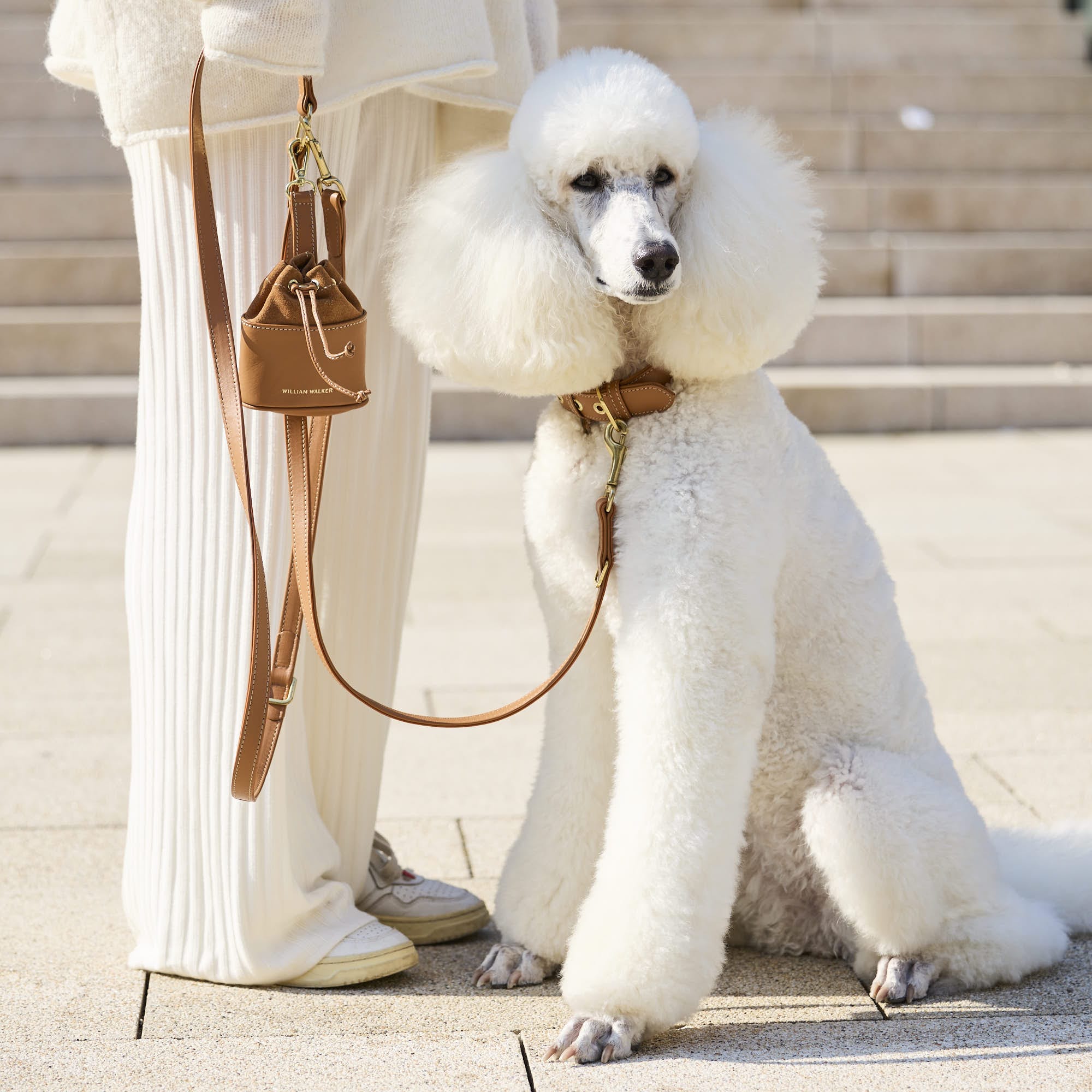William Walker Hochwertige Glattleder Hundeleine Caramel