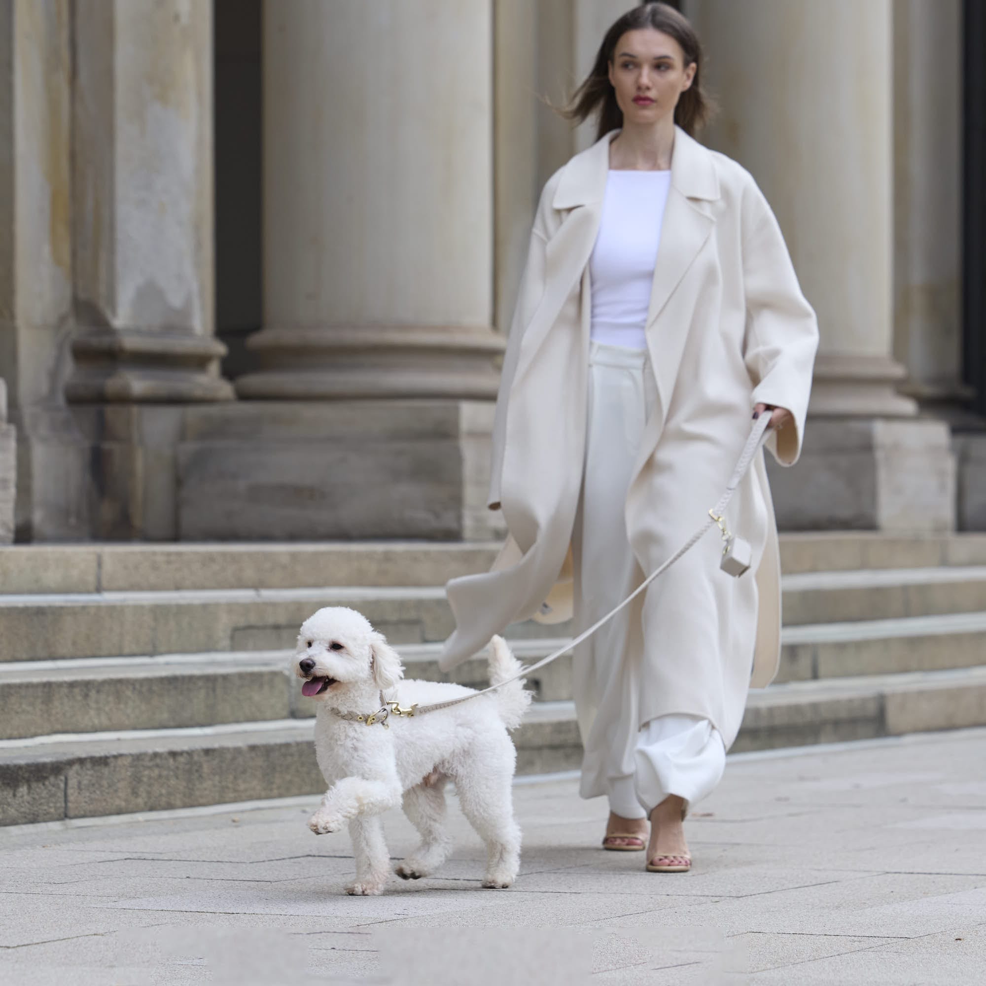 William Walker Hochwertige Leder Hundeleine Prestige Almond