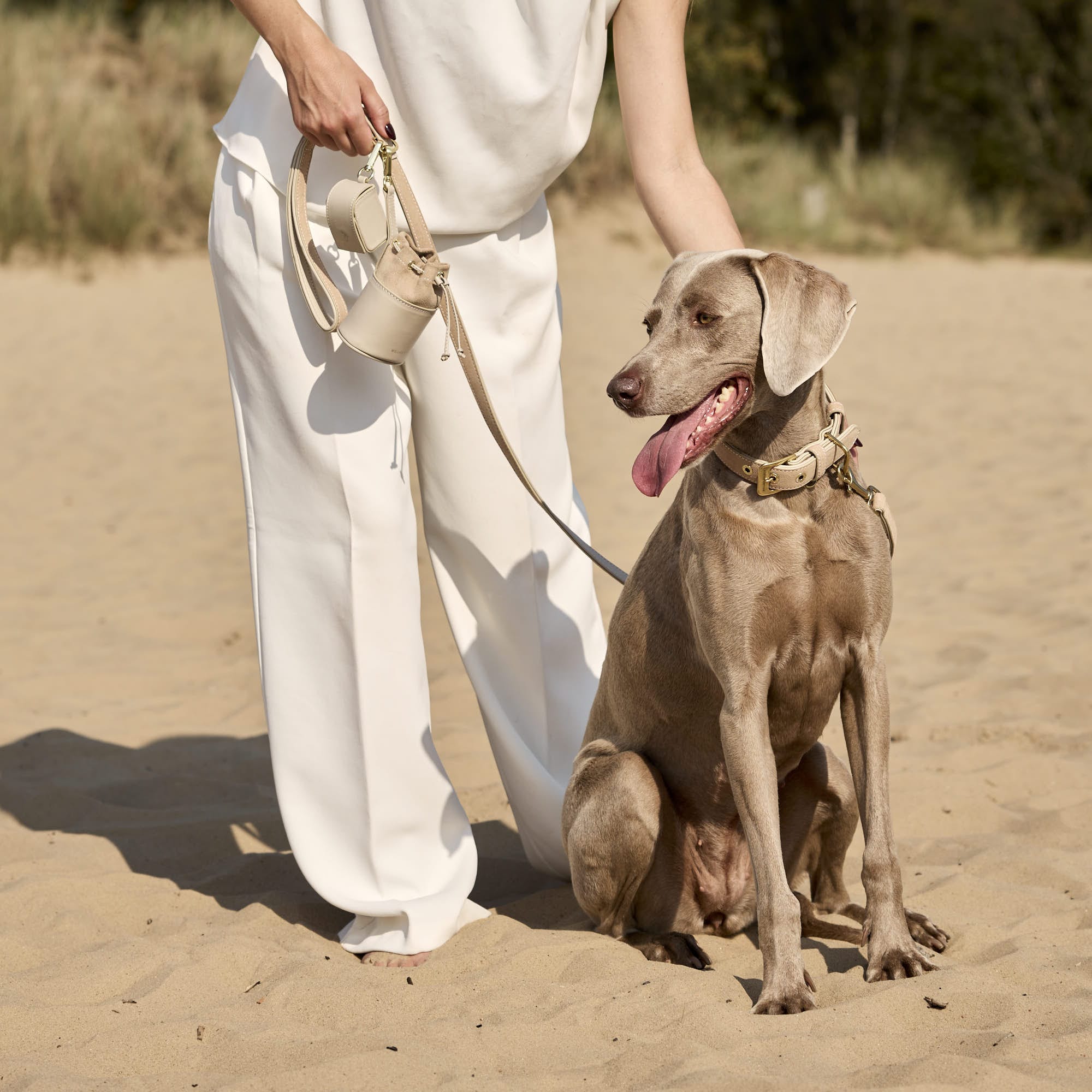 William Walker Hochwertige Wildleder Hundeleine Almond (Beige)