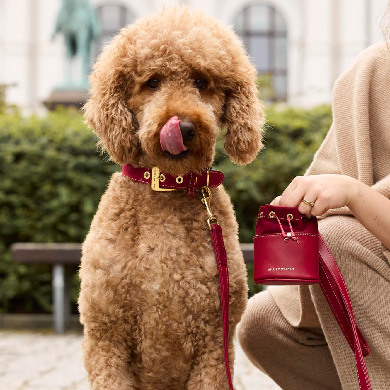 William Walker Hochwertige Wildleder Hundeleine Lambrusco (Bordeauxrot)