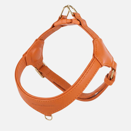 William Walker Arnés de Cuero Step-In Pico para Perros Pequeños Amber (orange) / 1