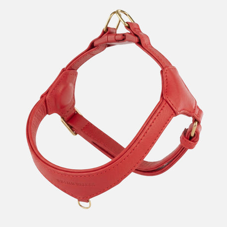 William Walker Arnés de Cuero Step-In Pico para Perros Pequeños Chili (rot) / 1