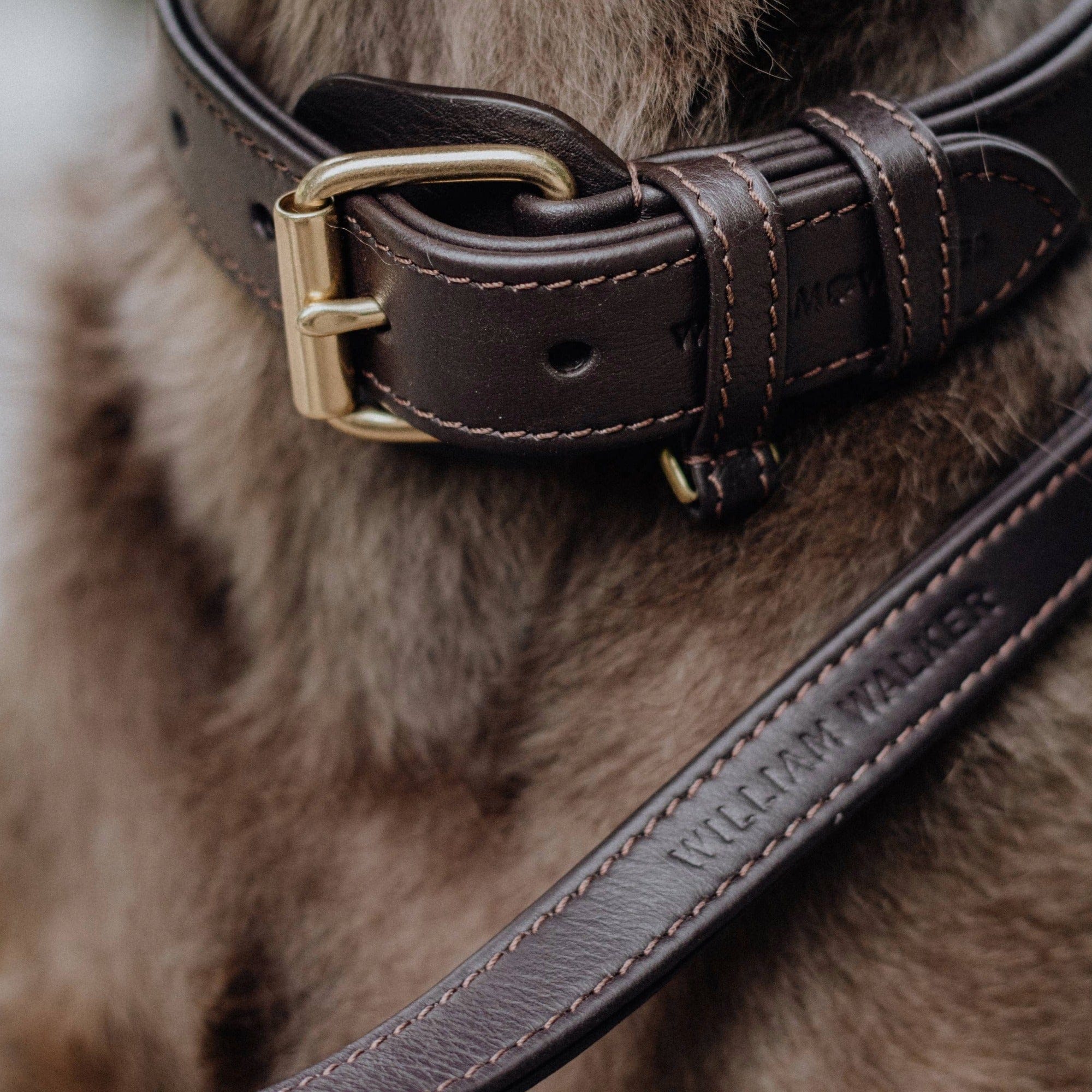 William Walker Leder Hundehalsband Earth (Braun)