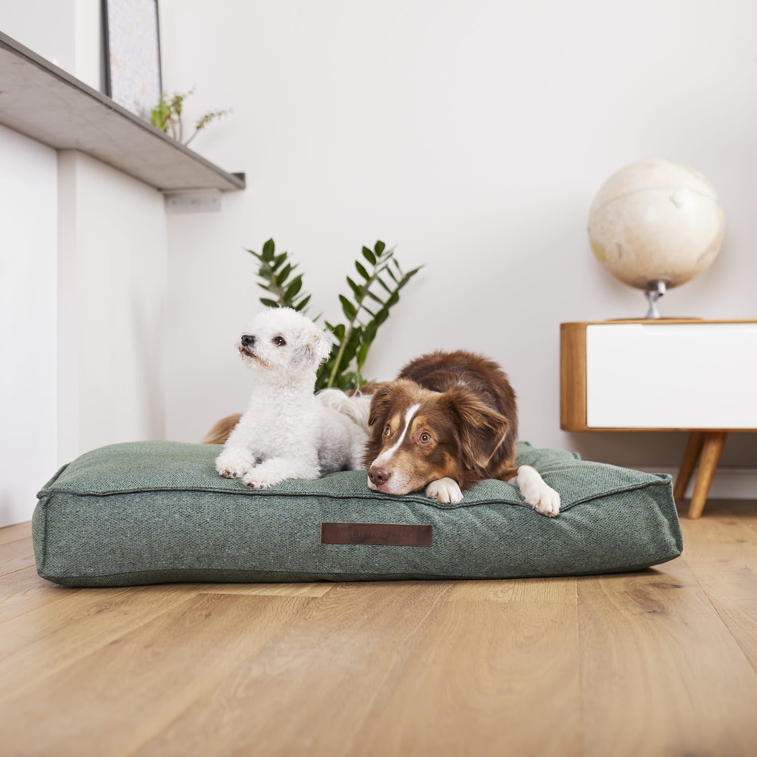 William Walker Sleep Bundle