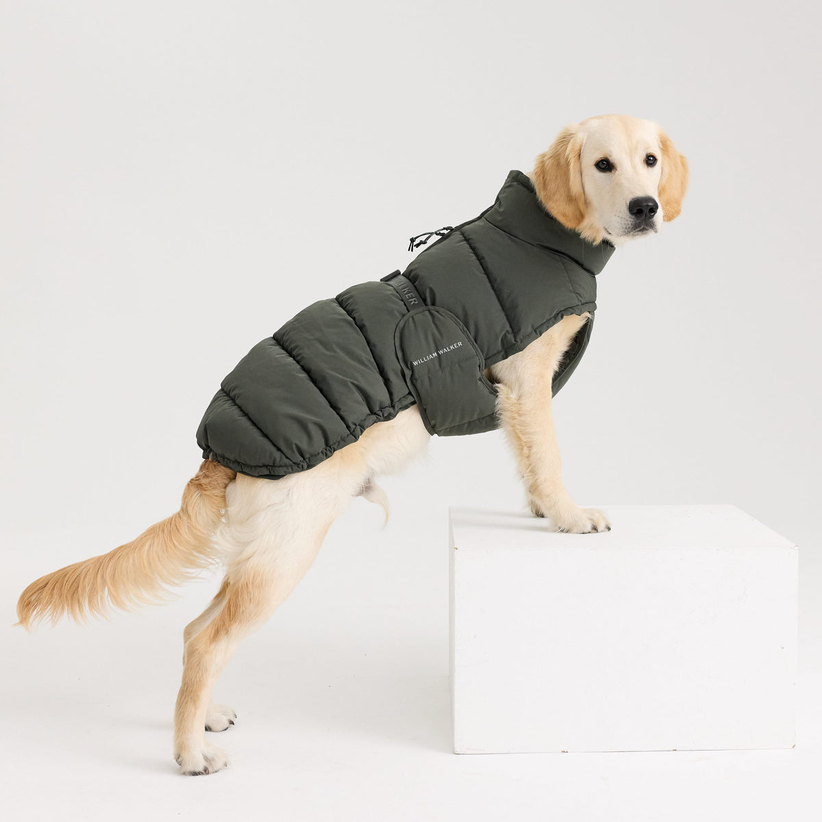 William Walker Abrigo de invierno cálido para perro Alpine