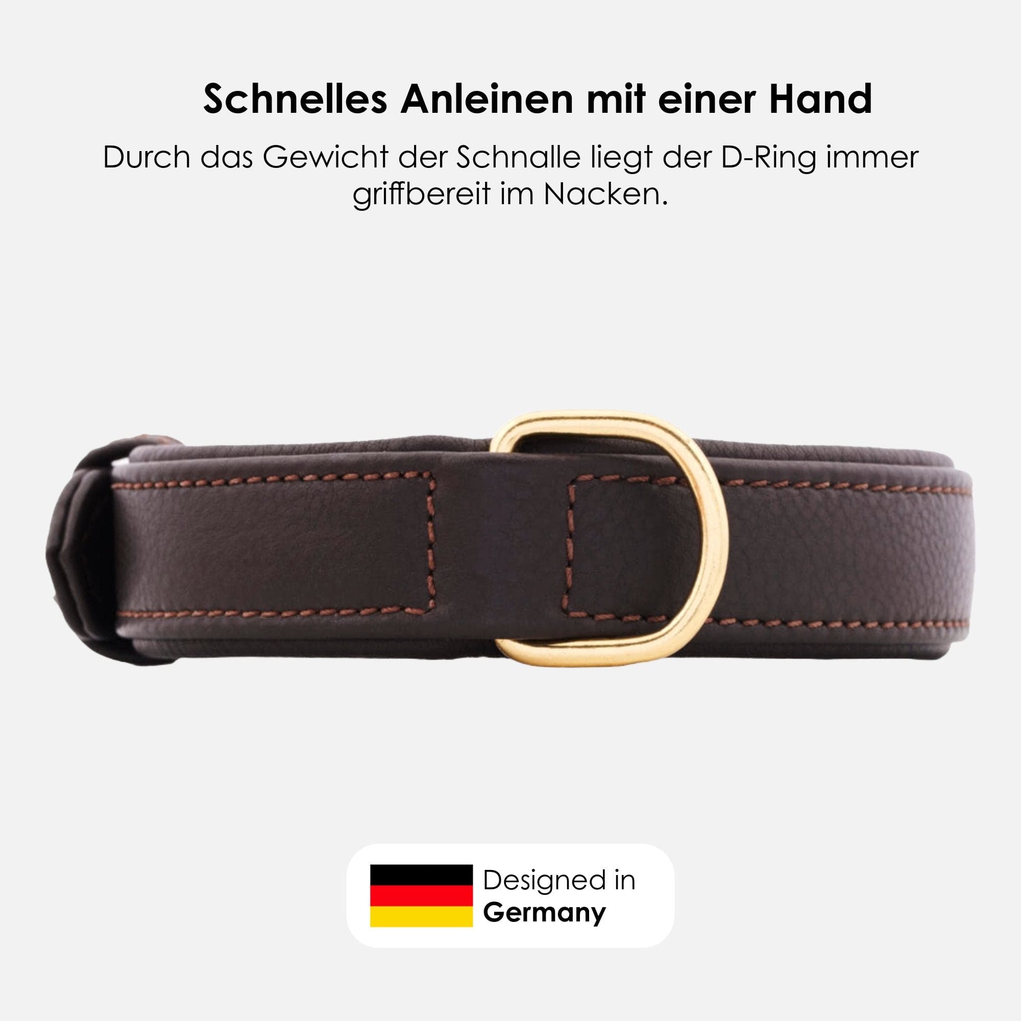 William Walker Leder Hundehalsband Earth (Braun)