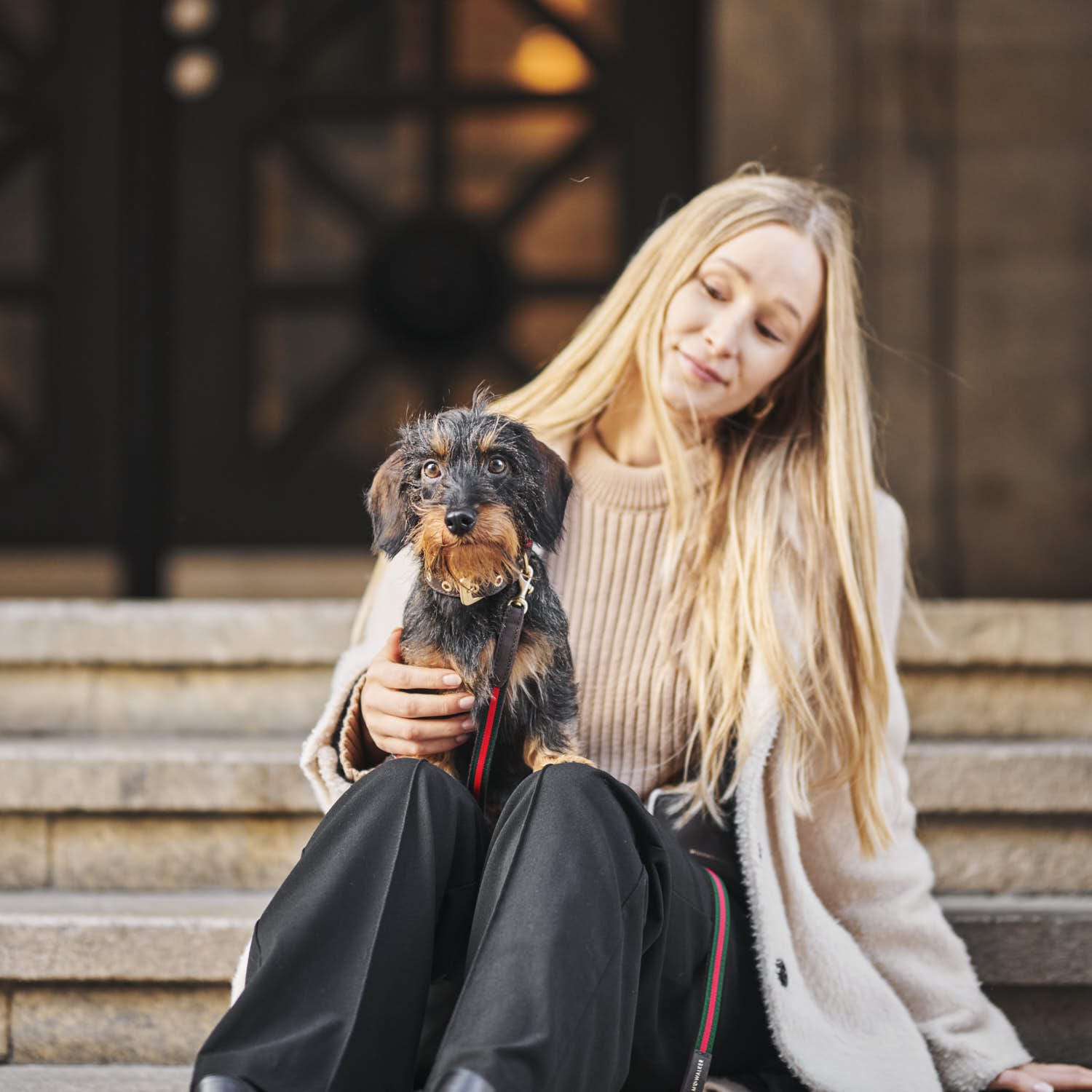 William Walker Hundehalsband Florence