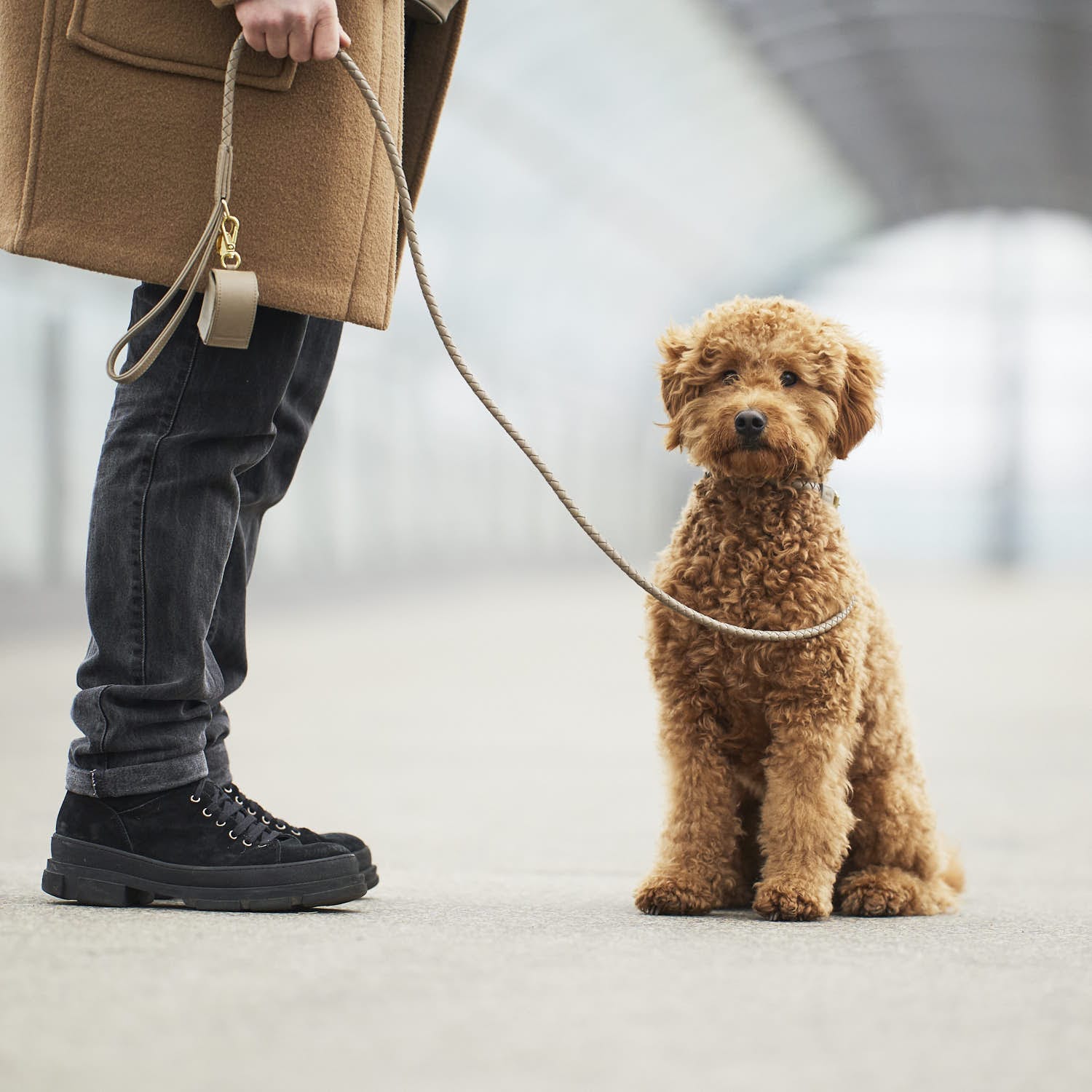 William Walker Hundeleine Twisted Sand