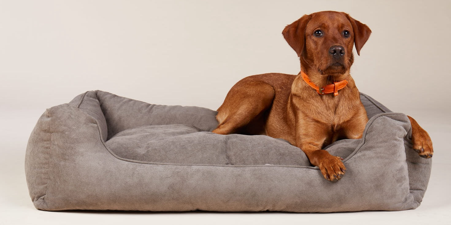 Eckige Hundebetten und Hundekissen