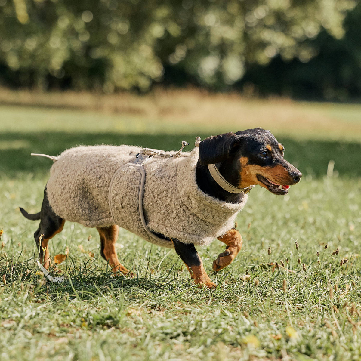 William Walker Cappottino in pile per cani Cozy per bassotti