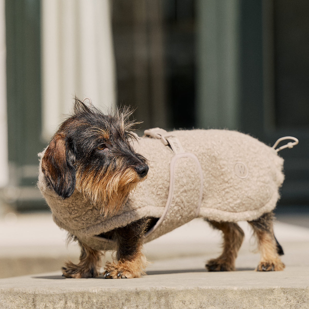 William Walker Cappottino in pile per cani Cozy per bassotti