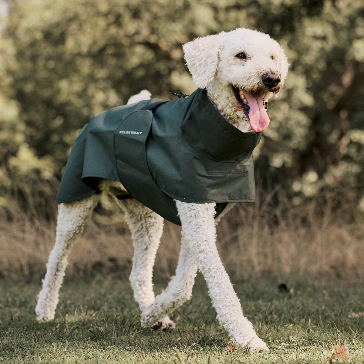 William Walker Waterproof dog raincoat Harbour