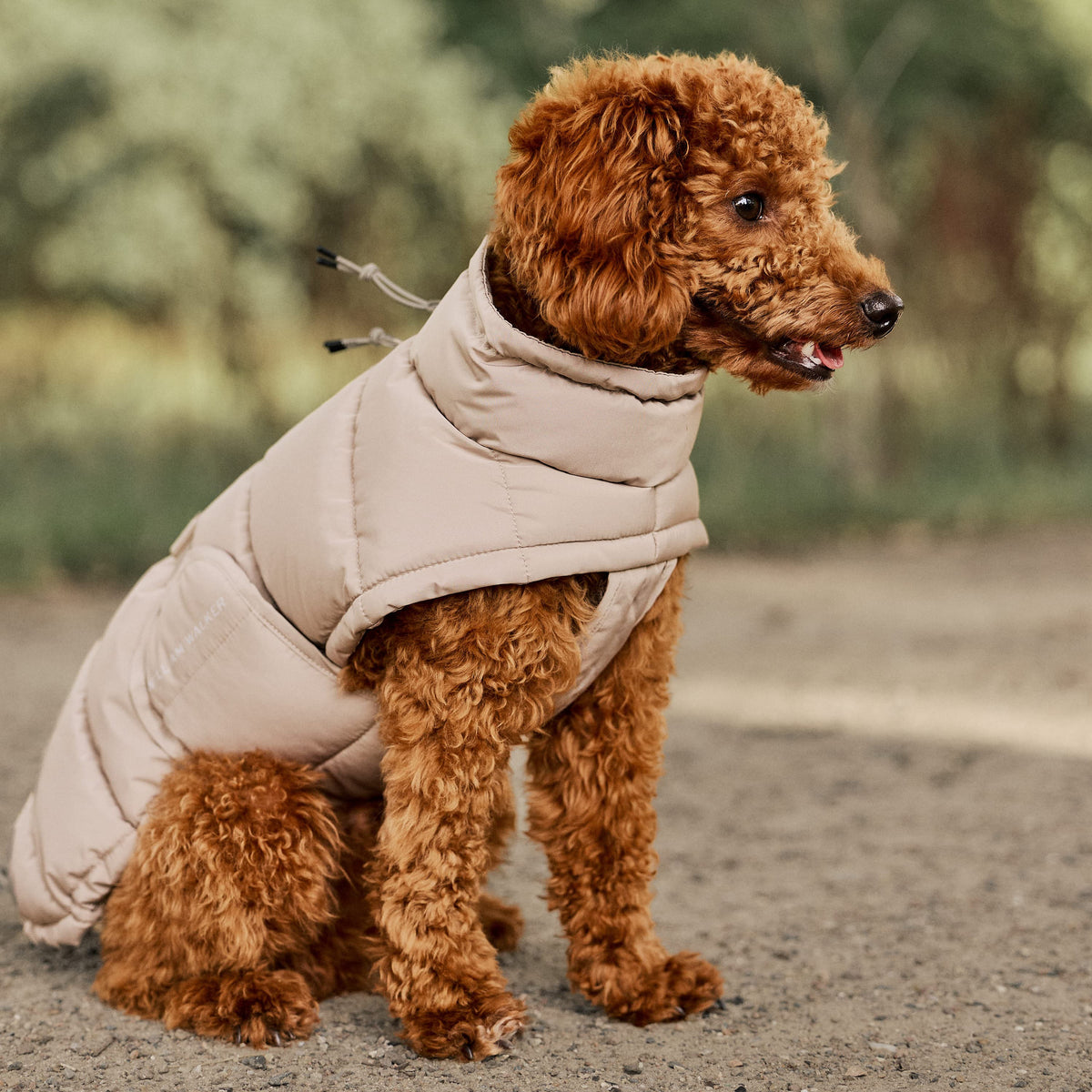 William Walker Abrigo de invierno cálido para perro Alpine