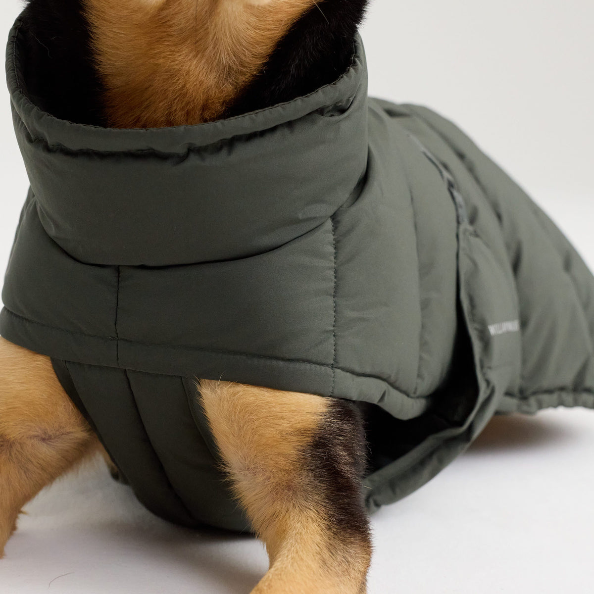 William Walker Abrigo de invierno cálido para perro Alpine