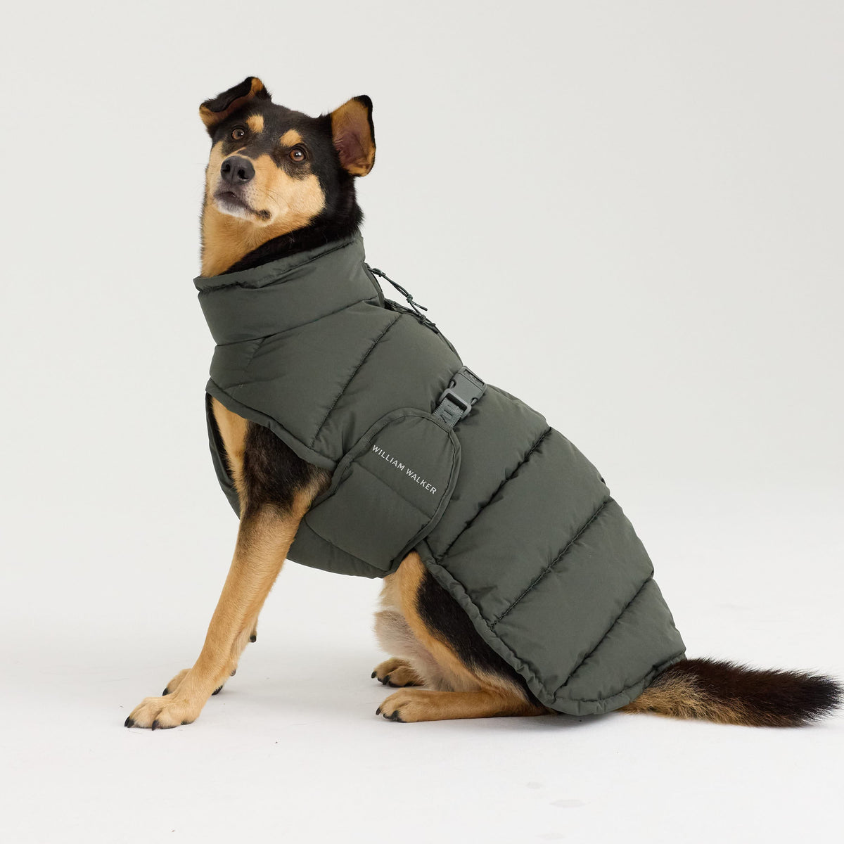 William Walker Abrigo de invierno cálido para perro Alpine