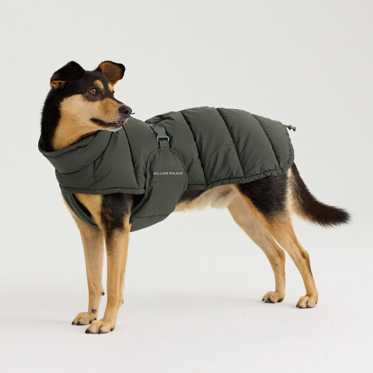 William Walker Abrigo de invierno cálido para perro Alpine