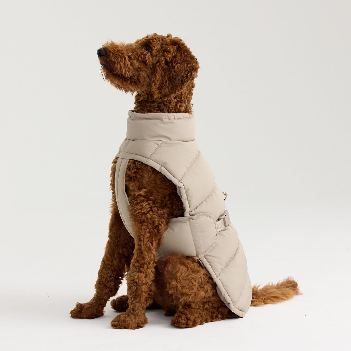 William Walker Abrigo de invierno cálido para perro Alpine