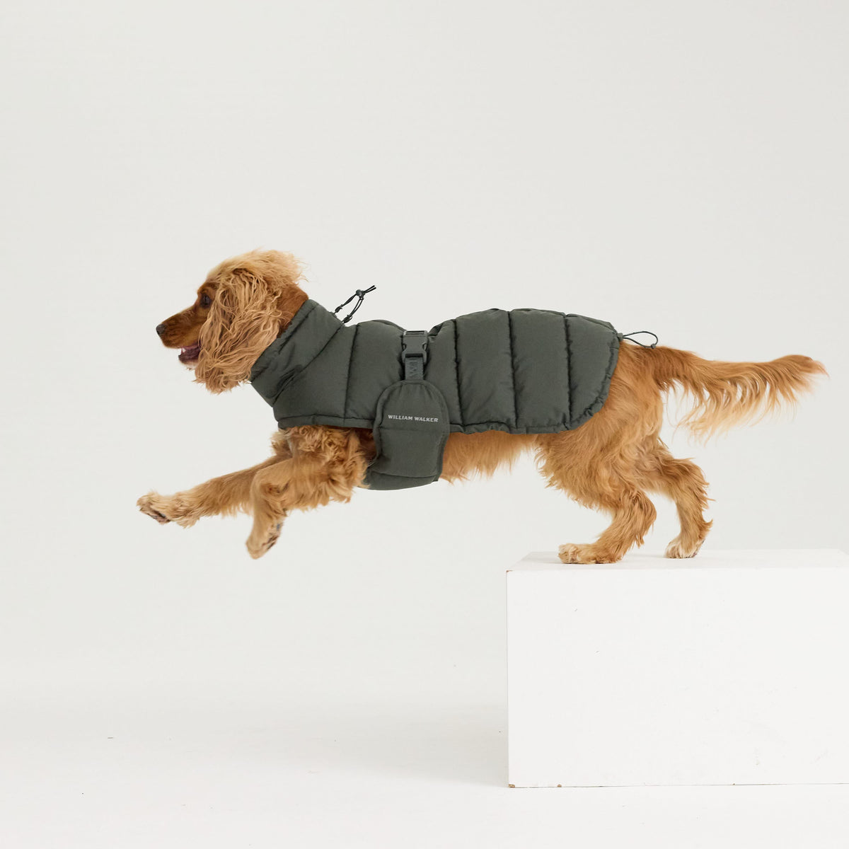 William Walker Abrigo de invierno cálido para perro Alpine
