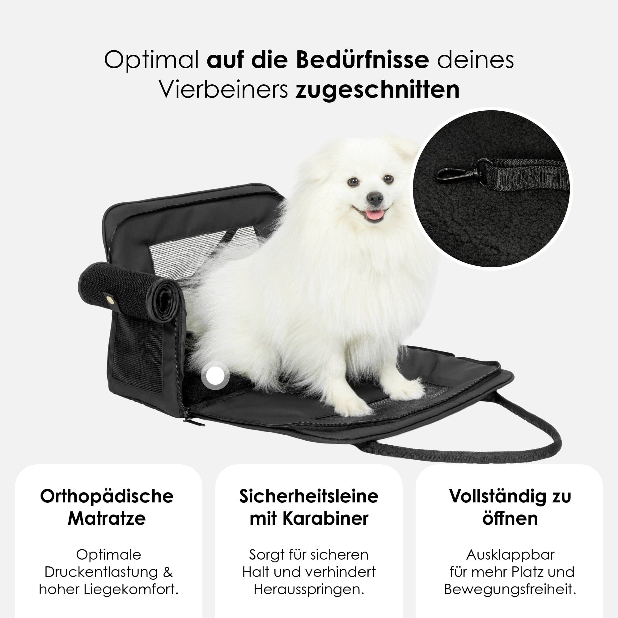 William Walker Hundetragetasche fürs Flugzeug Cloud Summit