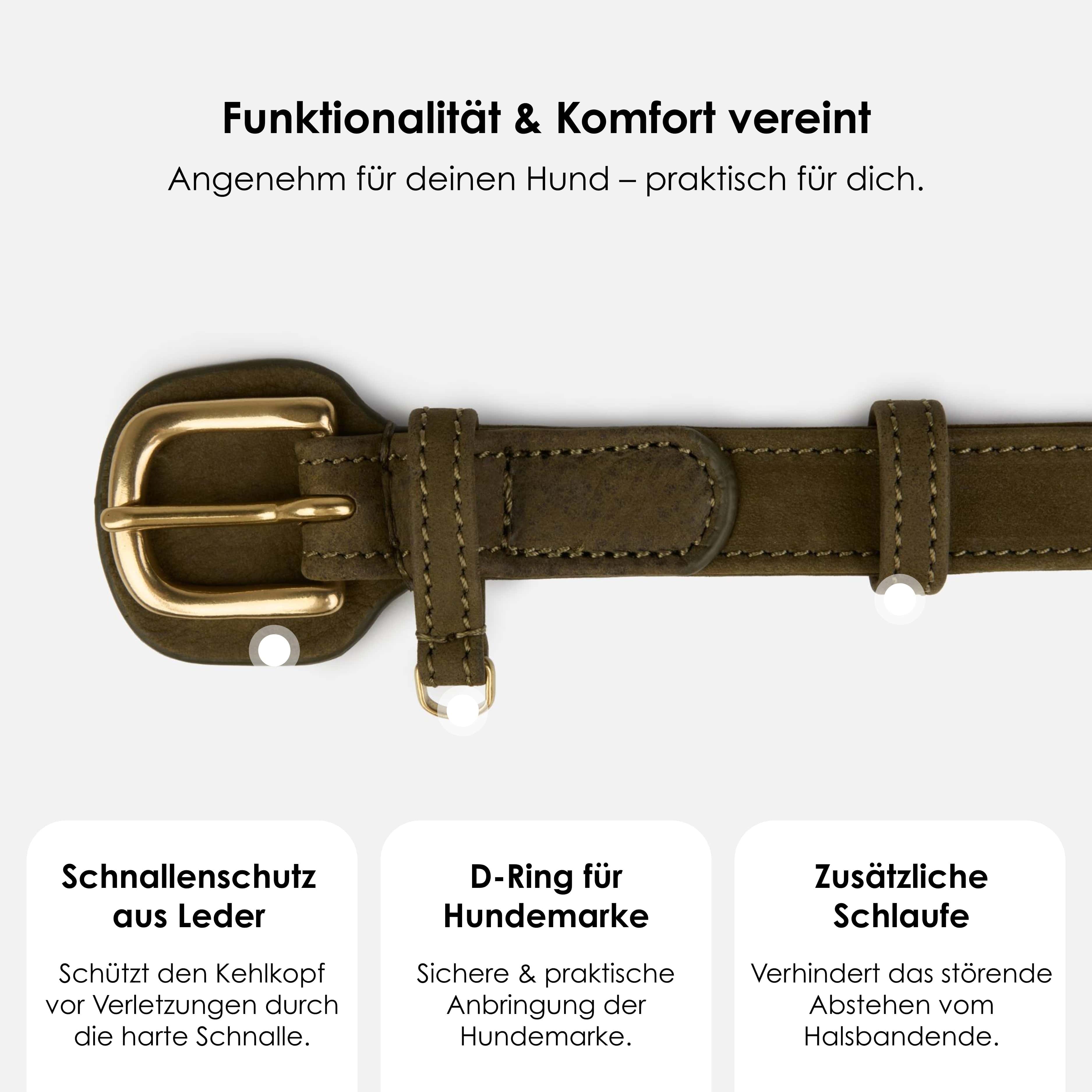 William Walker Hundehalsband aus wasserfestem Nubukleder