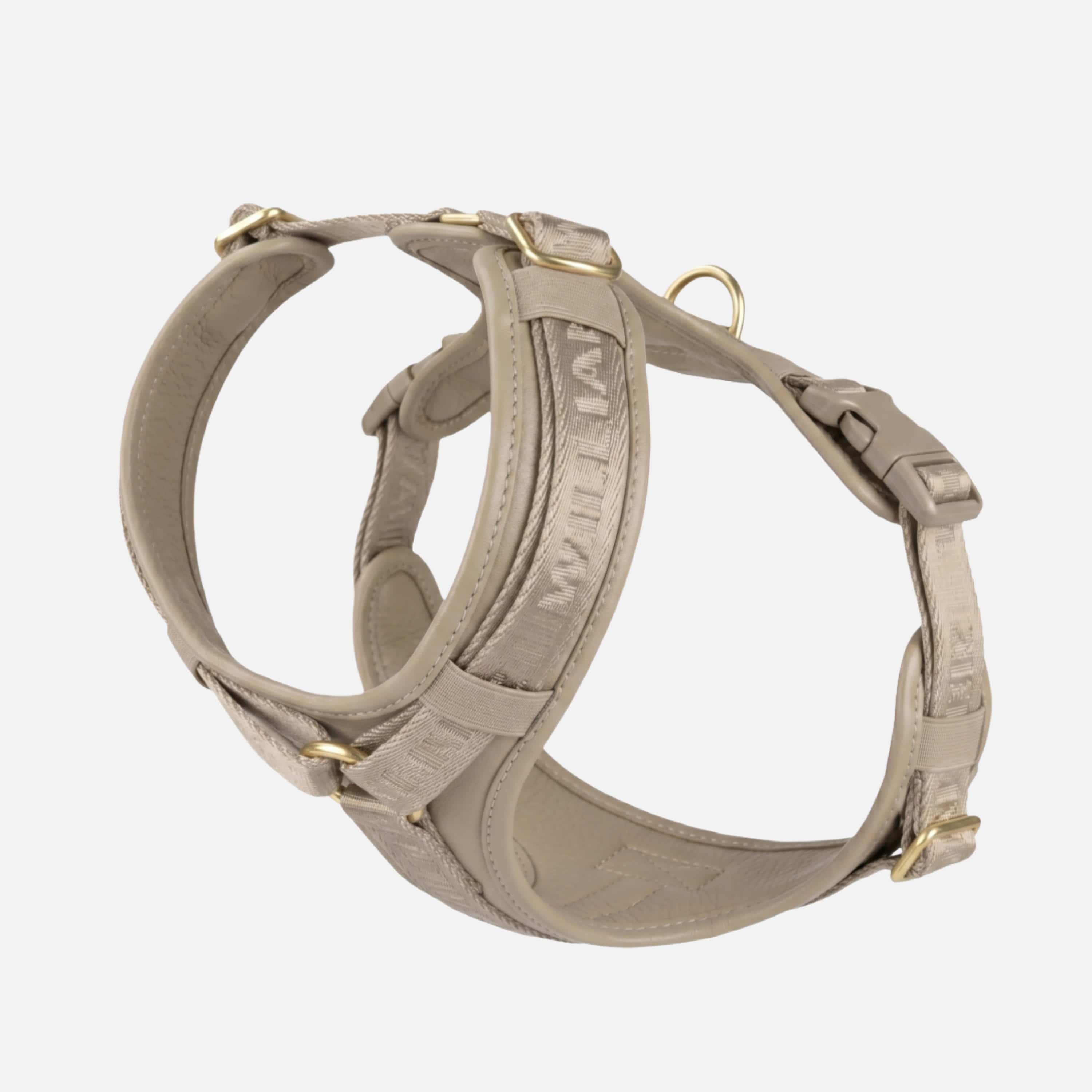 Premium Leather Y-Harness Plain
