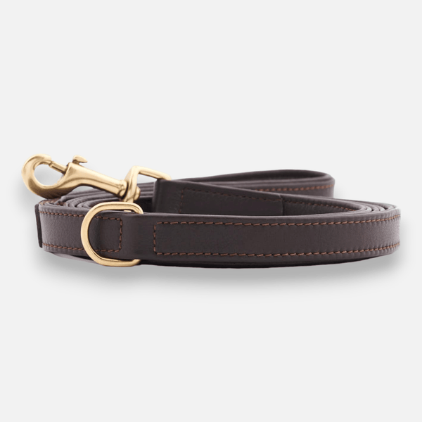 Premium Leather Dog Leash Earth (Brown)