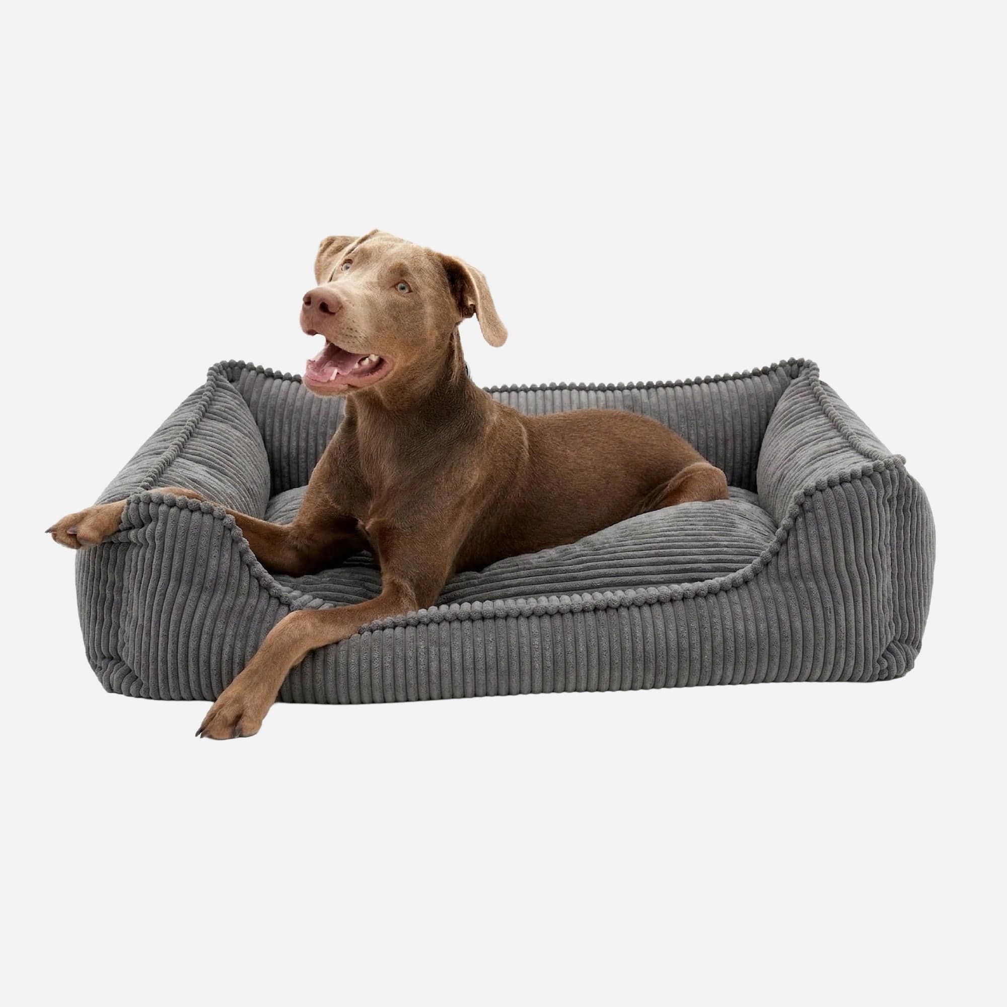 William Walker Orthopädisches Hundebett Cord