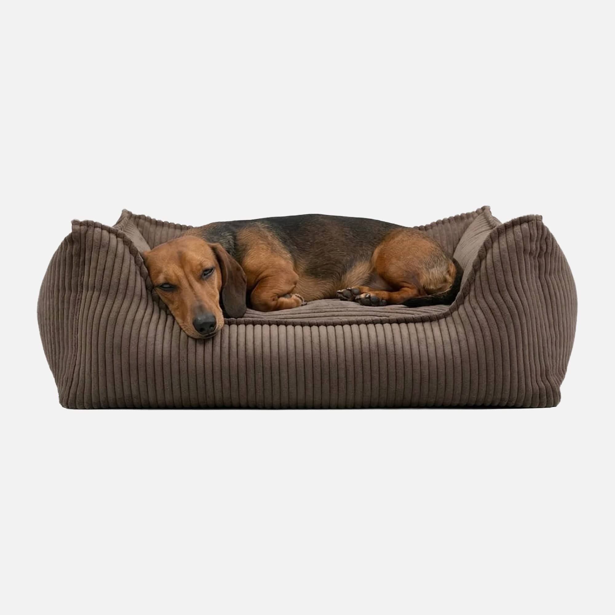 William Walker Orthopädisches Hundebett Cord